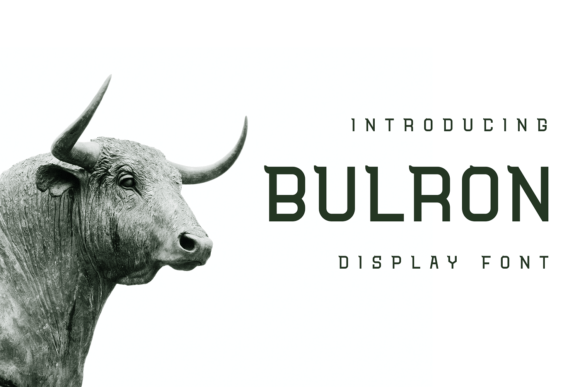 Bulron: A Display Font with Editorial Charm