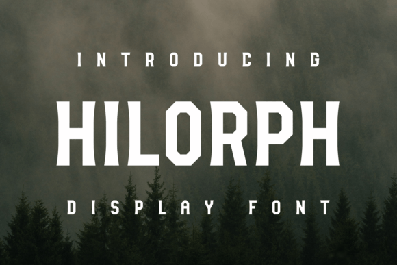 Hilorph: A Designer's Honest Review for Real Projects
