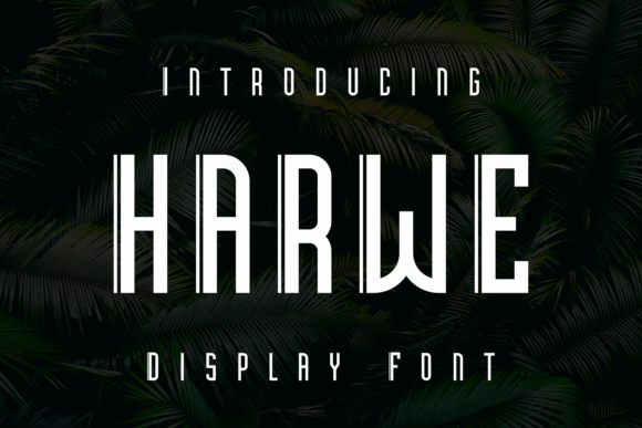 How a Display Font Like Harwe Elevated My Small Café Brand