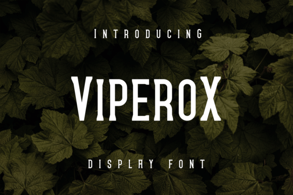 Why Viperox Display Typeface Shines in Real Branding Work